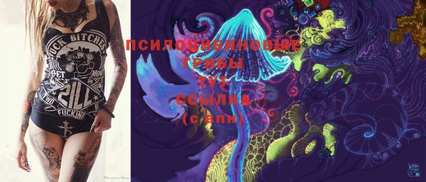 соль ск Алексин