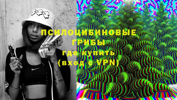 прущая мука Арсеньев