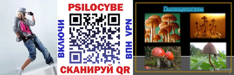 Галлюциногенные грибы Psilocybe  Купить  Светлогорск 