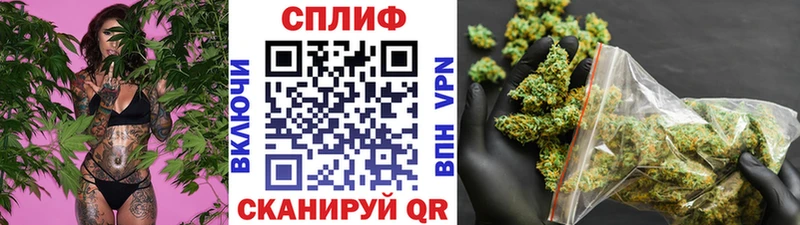 Купить Светлогорск Каннабис сатива